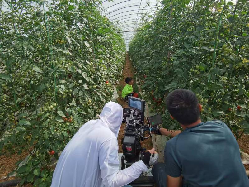 和政县产品宣传视频拍摄公司进阶指南，助力品牌抢占传播高地